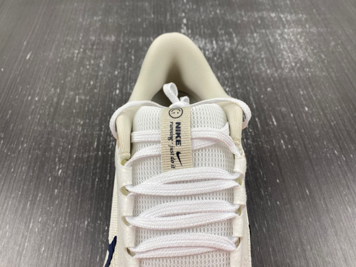 air zoom pegasus az0824