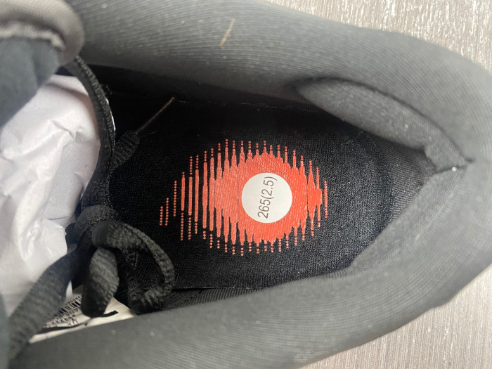 nike sb dunk low black pigeon 883232-008