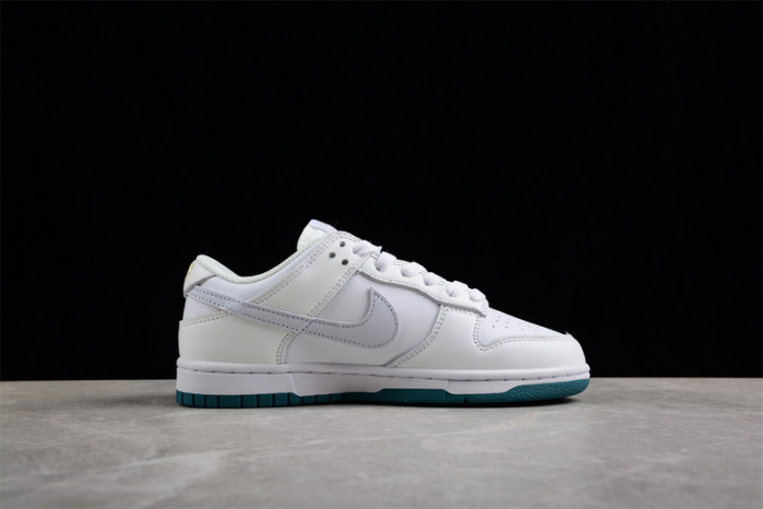 nike dunk low gs fd9911-101