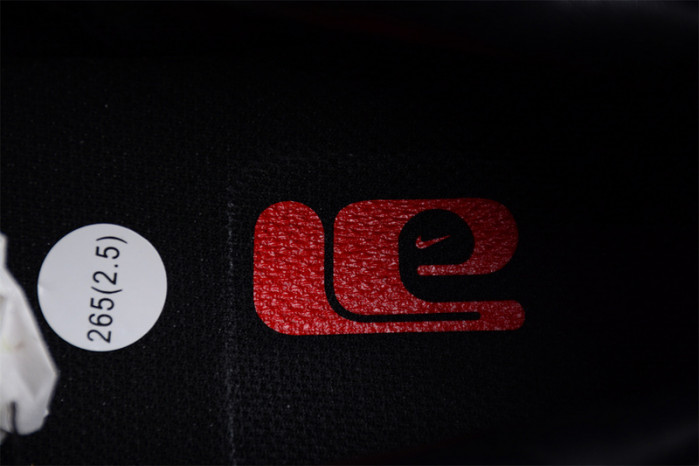 nike dunk low premium co.jp brown snakeskin fj5434-120