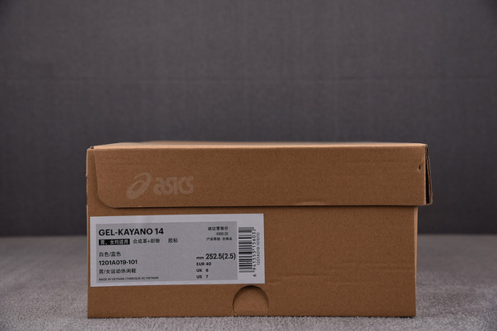 ASICS sneaker 1201A019-116