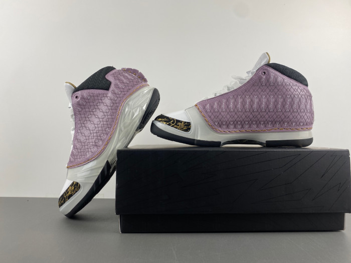 Air Jordan 23 White Stealth 318376-102